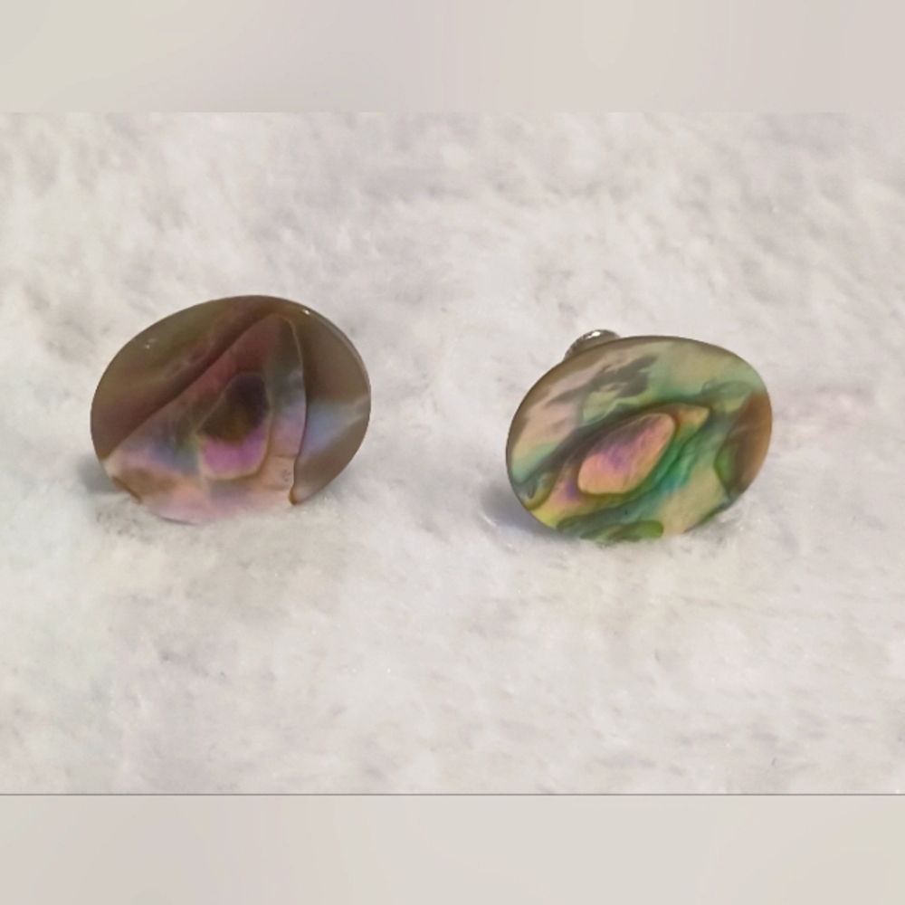 Elegant Vintage Abalone Shell Screw Back Clip On Earrings